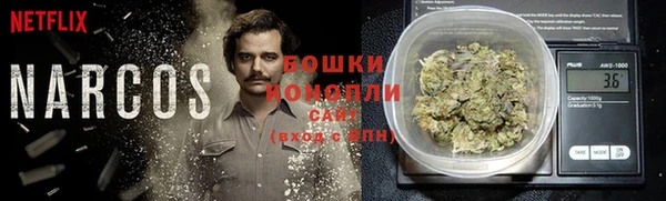 соль ск Гусев