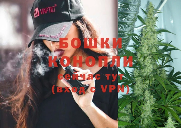 соль ск Гусев